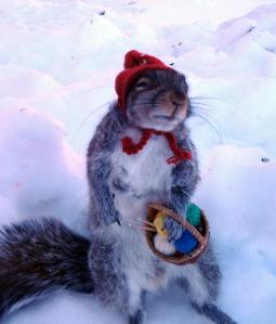 KnittingSquirrel2
